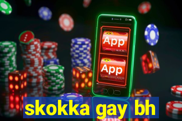 skokka gay bh